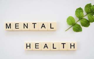 Food and mental health