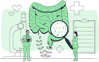gut-health-concept-illustration